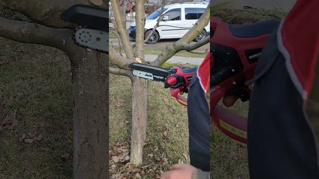 WORCRAFT CHS-S20LiB Акумулятора бесщеточная минипила смотреть онлайн