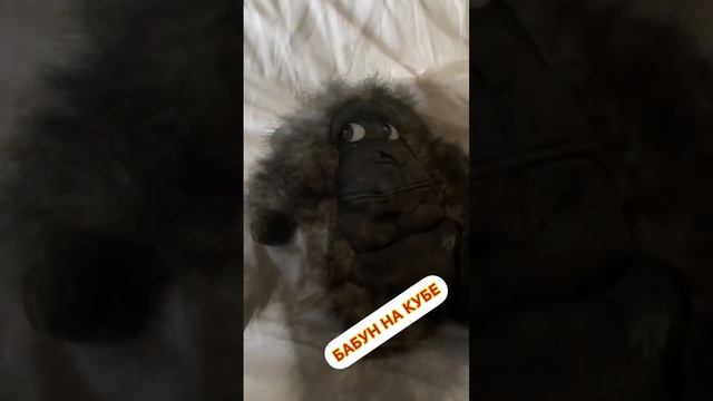 Куба/отдых/океан смотреть онлайн