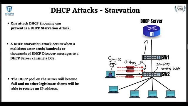 CCNA FULL COURSE 2024: Learn IT! ? DHCP Snooping Cisco - CCNA 200-301 Study Guide смотреть онлайн