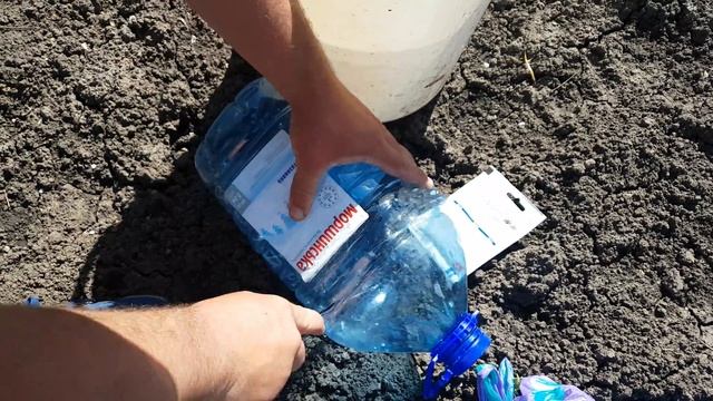 Безопасный способ борьбы с цветоедом, Алёнкой мохнатой! смотреть онлайн