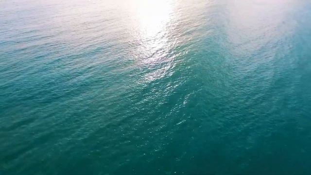 Сколько океанов на Земле 4 или 5? смотреть онлайн