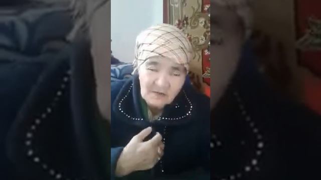 Жылыш жакшы болуп жатат! #Elev8 #B-epic смотреть онлайн