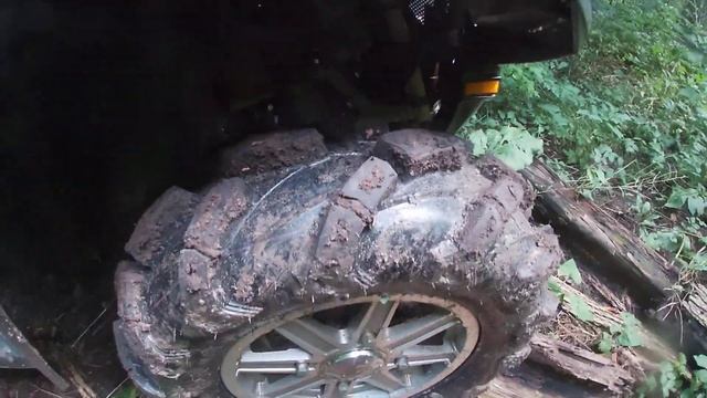 CST Wild Thang Tire Review