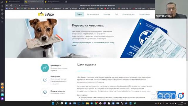 "Все Звери" - инструмент взаимодействия ветеринарной службы и владельцев мелких домашних животных смотреть онлайн