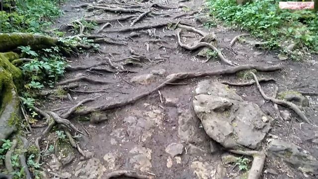 Заказ минивэна, автобуса в Краснодаре. На выходные в Лаго-Наки. В конце мая. смотреть онлайн