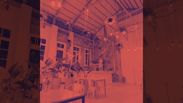 Suave Java Vibes смотреть онлайн