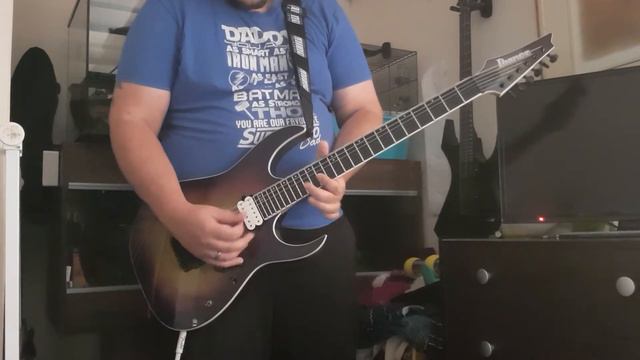Take A Look Around - Limp Bizkit (Guitar Cover). Ibanez RGIX6FDLB смотреть онлайн