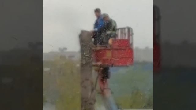 Чурки пилят. смотреть онлайн