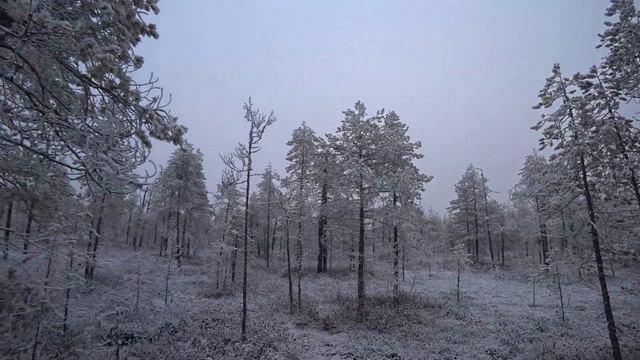 Продолжаю ставить капканы(2022-23г) 2часть.Охота с МЕЛКАШКОЙ смотреть онлайн