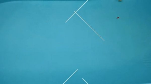 TROUT HUNTER MEDIATOR