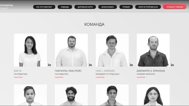 Разбор Phenomenal Network (PN) | Детали ICO смотреть онлайн