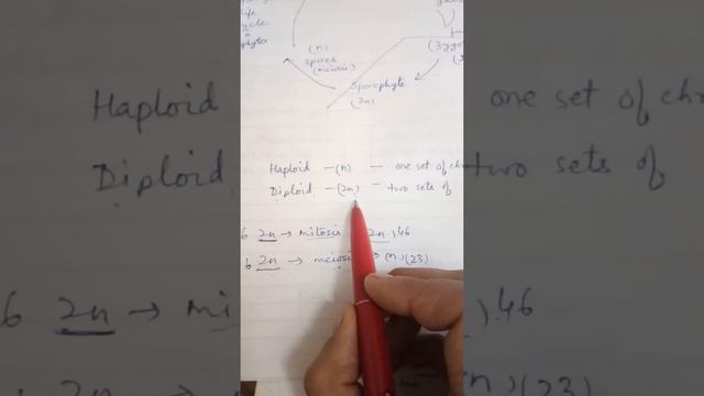 Bryophytes-Biology-Class+1 смотреть онлайн