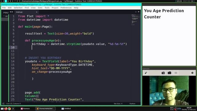 Flet Tutorial - Age Counter Prediction App смотреть онлайн