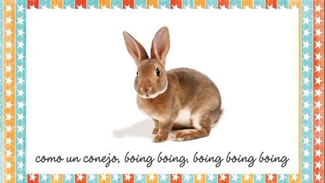 Caminando como animales - Miss Rosi смотреть онлайн