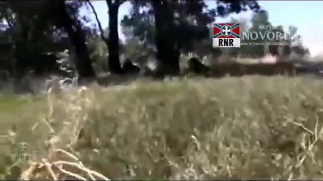 Красная смородина смотреть онлайн
