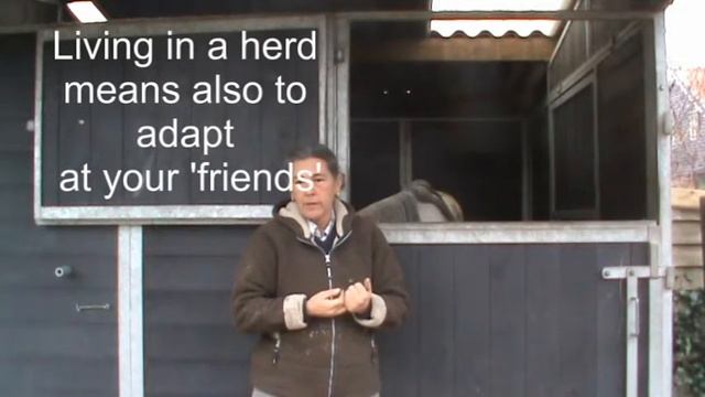 Horse psychology How do horses look- Eyes смотреть онлайн