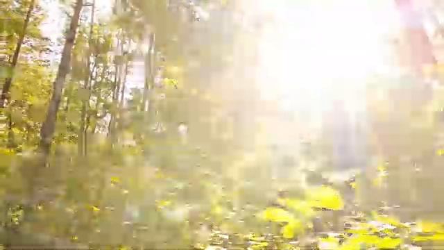 Deep Focus Music To Improve Concentration - 12 Hours of Ambient Study Music to Concentrate #609 смотреть онлайн