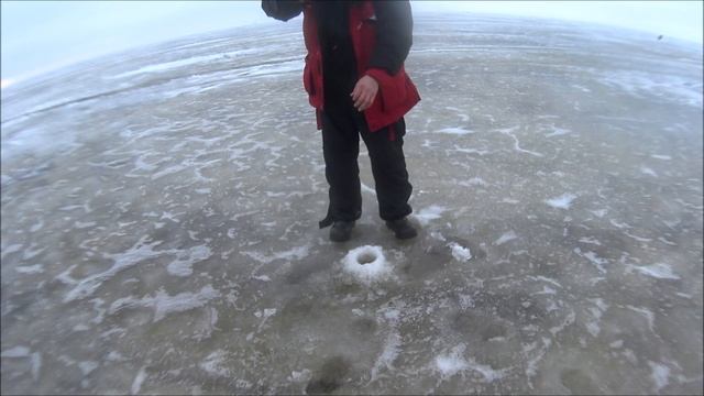 не поймал не чего кроме МОНСТРА на ПОЛКИЛО АРКАДСКИЙ залив первый окунь на Балансир/загорелась нога смотреть онлайн