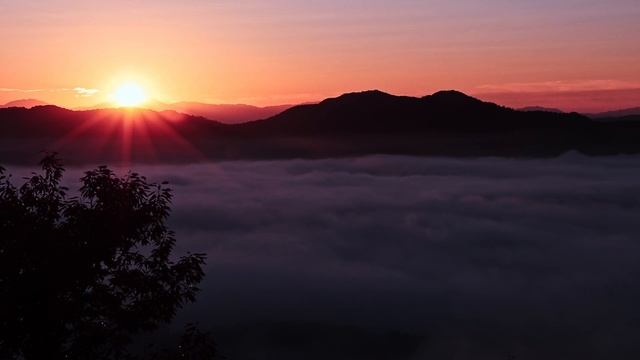 РЕЛАКСАЦИЯ ПЕРЕД СНОМ ДЛЯ СНЯТИЯ СТРЕССА, ТРЕВОГИ И НАПРЯЖЕНИЯ. БЫСТРЫЙ СПОСОБ УСПОКОИТЬСЯ. смотреть онлайн