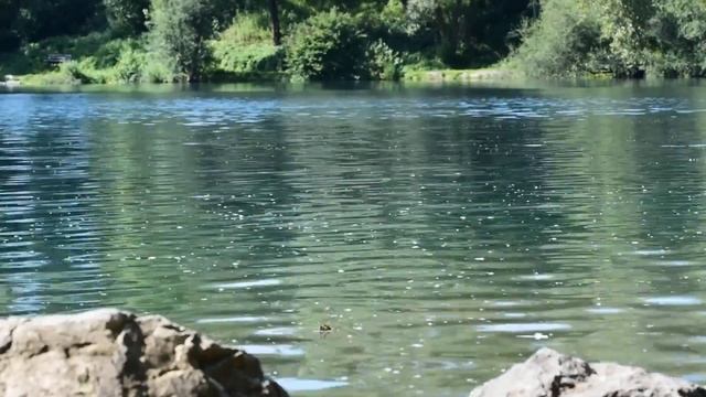 Озеро. Природа. Отдых