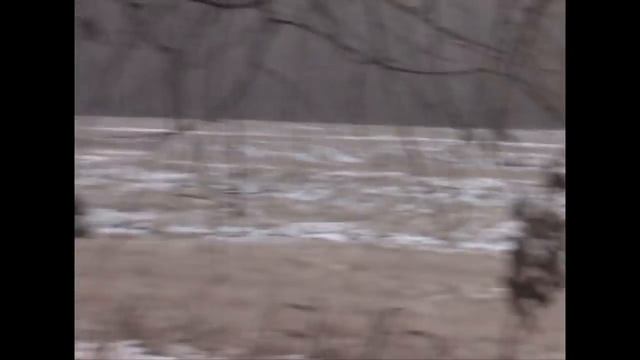 Ready Aim Fire!!! AR 15 Score!! Tracer Galore!!! смотреть онлайн