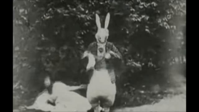 :漫画书//codex13//MANDELA ECFECTUS...Mock Turtle SOUP