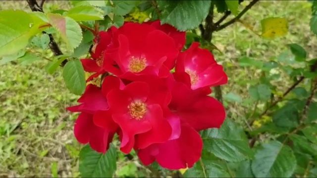 Стройка Плюс