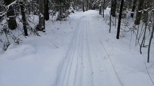 г. Белая 05.02.2023 г. смотреть онлайн