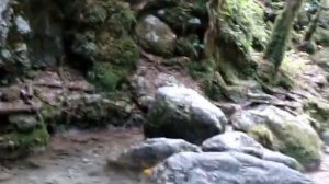 (1) Абхазия .Гагрипшское ущелье ( сентябрь 2016)  (1)