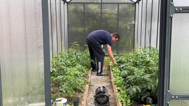 Приусадебный участок// Аэрация почвы// Рассада смотреть онлайн