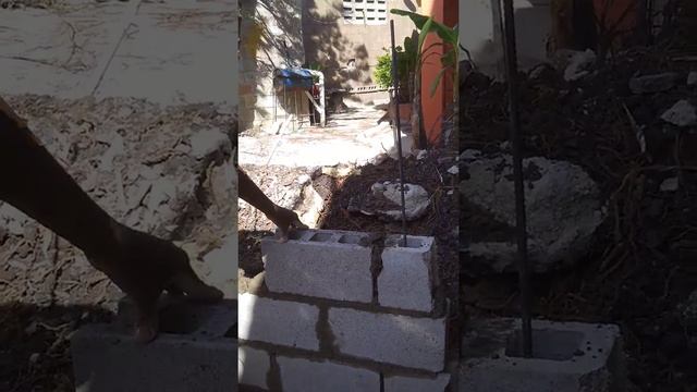 Poze blók fasil Avek maître Antonio. смотреть онлайн