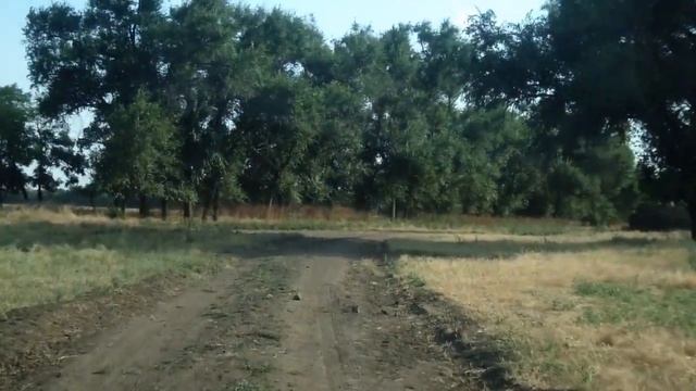 Сальск. Село Сальский беслан смотреть онлайн