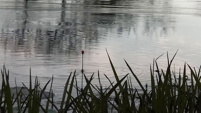 ПОКЛЁВКА ! Хорошая прям ПОКЛЁВКА !! смотреть онлайн