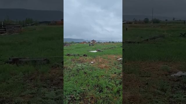 Козы , им нужно наше общество смотреть онлайн