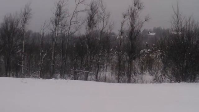 ЖК МОРОШКИНО от компании Норманн 2 смотреть онлайн