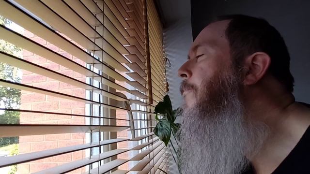 Sonnets Shakespeare Sonnet 50 смотреть онлайн