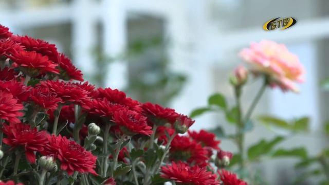 Тепло и краски осени смотреть онлайн