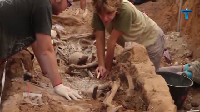 Top 10 Unbelievable Mythical Creatures That Existed In Real Life смотреть онлайн