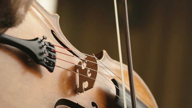 Atilla Aldemir | Bach: Sonaten Und Partiten, BWV1001-1006 Arr. Für Viola