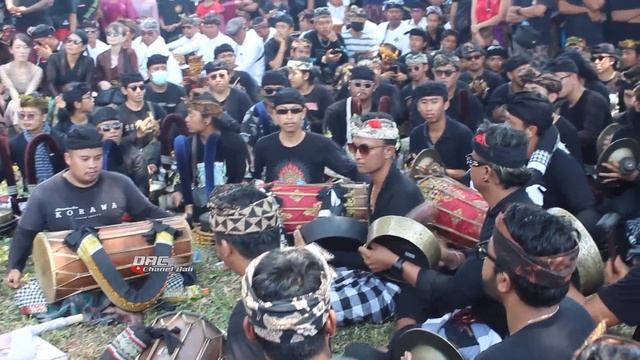 BALEGANJUR NGARAP PEDEPOKAN SENI KORAWA DI PENGABENAN SANG MAESTRO ALM. I MADE SUBANDI, S.SN смотреть онлайн