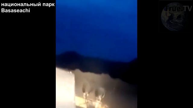 НЛО сверлит гору МЕКСИКИ ★ 16 июля 2018 смотреть онлайн