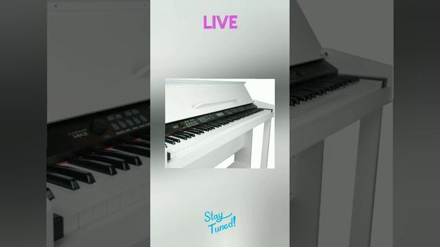 Vault Caesar MK2 88 Key Digital Piano - (White) смотреть онлайн