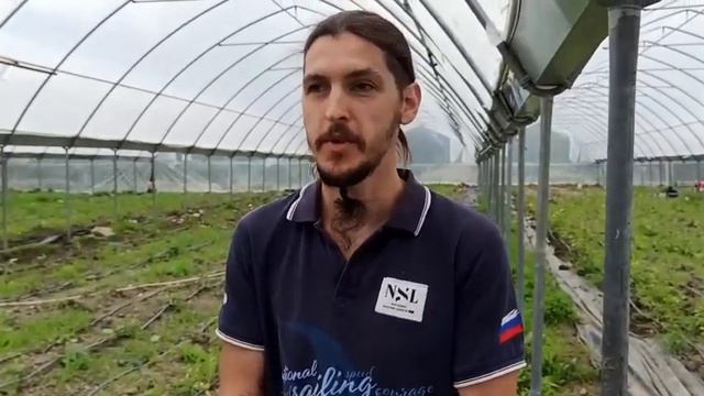 Добровольцы смотреть онлайн