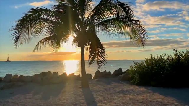 Отдохни! Релакс 3 минутки смотреть онлайн