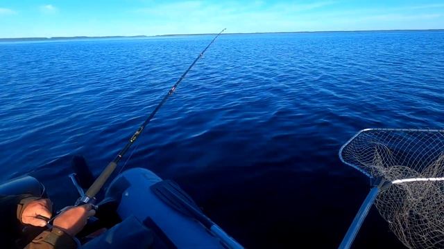 2 недели на природе. Лето 22. 3 часть смотреть онлайн