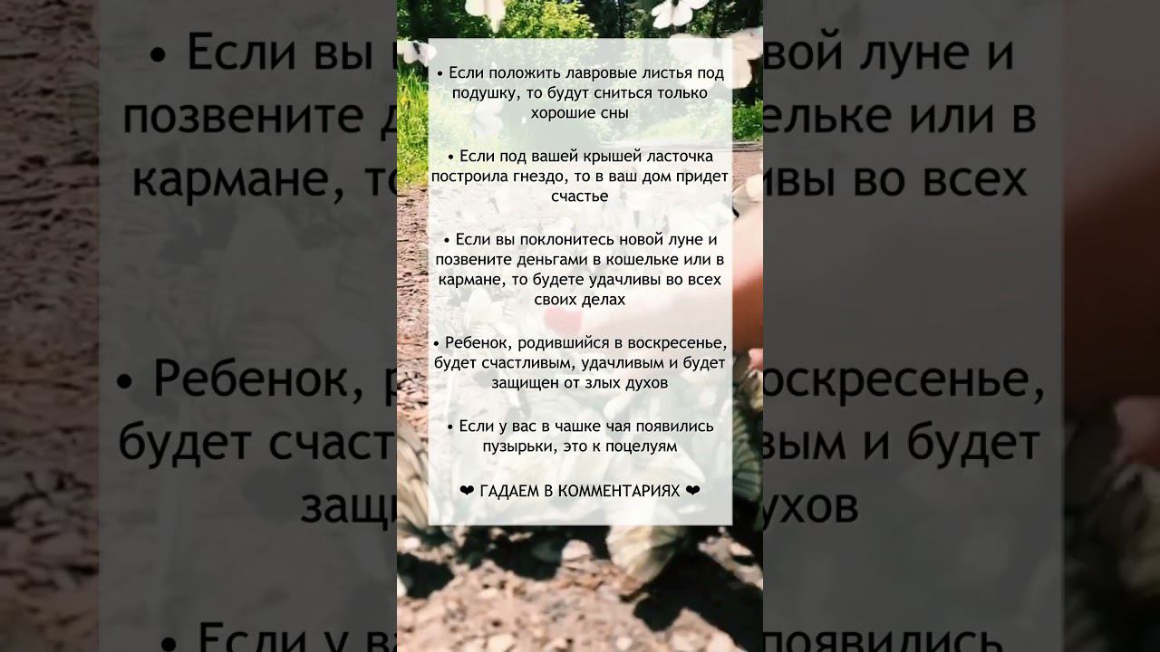 Хорошие приметы №14 смотреть онлайн