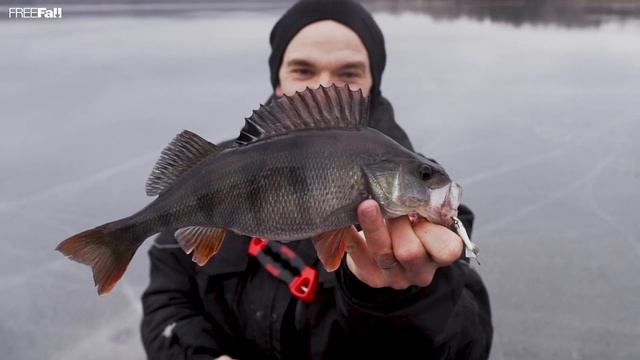 FREE Fall System Explained! // 13 Fishing (Eng Captions) смотреть онлайн