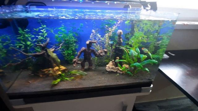 Детский аквариум.