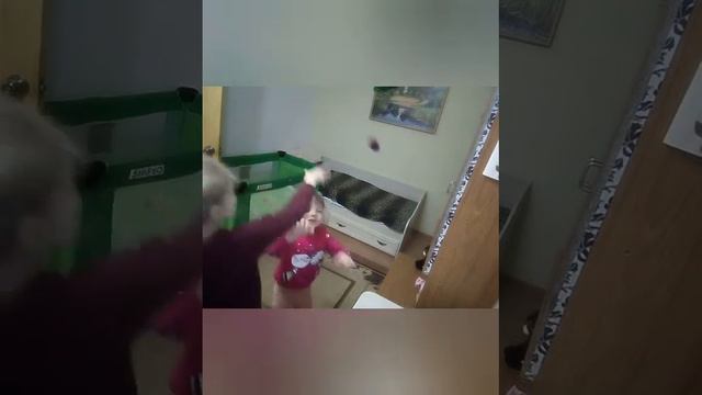 как сделать птицу смотреть онлайн
