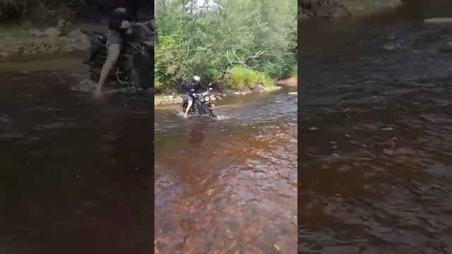 Альфа Лесник(Ягуар)☠ смотреть онлайн